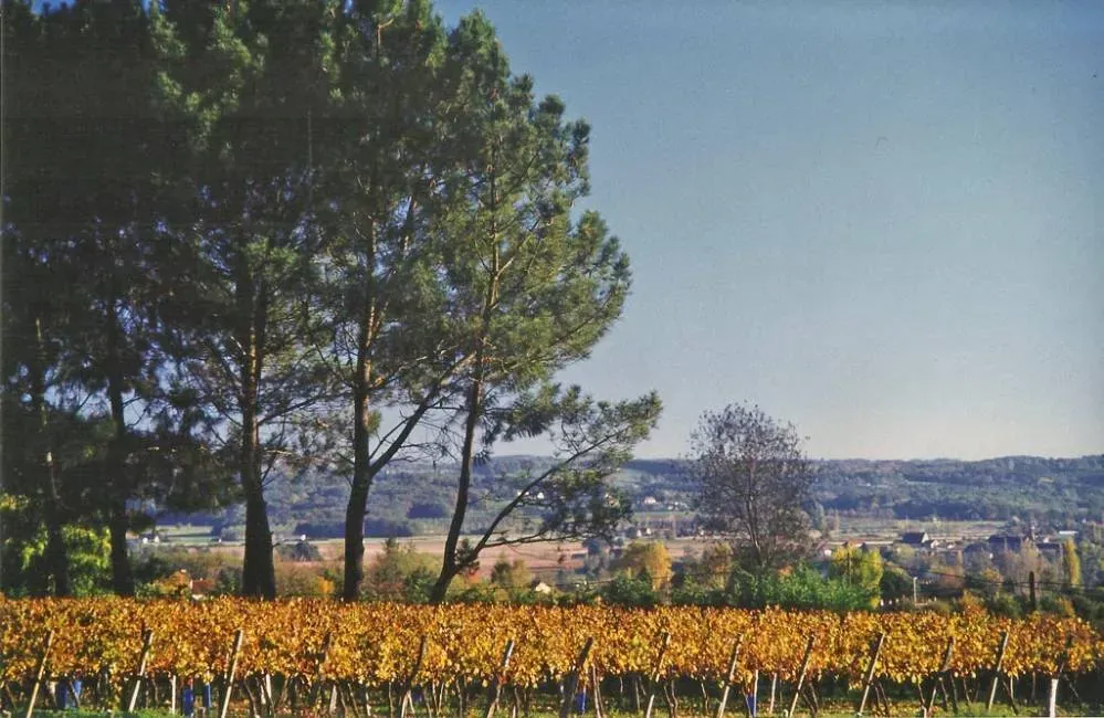 Bergerac près de Bordeaux